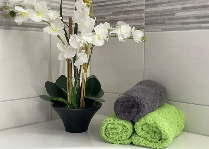 Bellavita - Mit Grossem Eingezaeuntem Garten - Infrarotsauna - 3 Hunde Willkommen - Badesee 800m Entfernt Walkenried